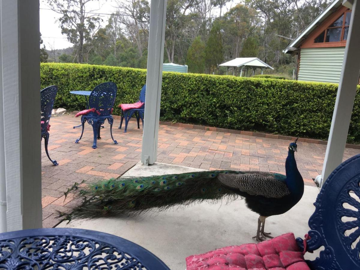 Girraween Country Inn Ballandean Buitenkant foto
